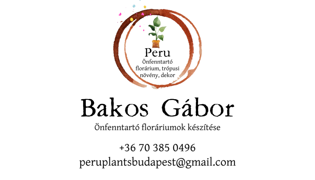 IMG_7446.PNG